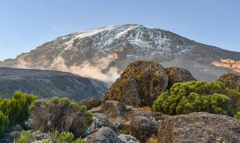 8-Day Mount Kilimanjaro Climb via the Lemosho Route