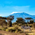 7-Day Mount Kilimanjaro Climb via Machame Route | 6 Nights Trek