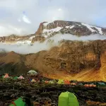 8-Day Mount Kilimanjaro Climb via the Lemosho Route
