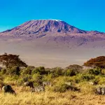 7-Day Mount Kilimanjaro Climb via Machame Route | 6 Nights Trek
