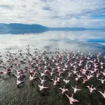 17-Day Tanzania Safari & Cultural Adventure | Serengeti, Ngorongoro, Kilimanjaro & Lake Natron