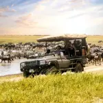 11-Day Tanzania Safari & Zanzibar Tour | Serengeti, Ngorongoro, Tarangire & Beach Holiday