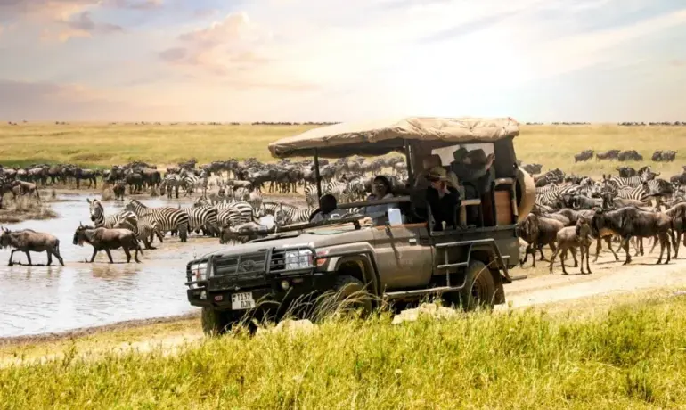 11-Day Tanzania Safari & Zanzibar Tour | Serengeti, Ngorongoro, Tarangire & Beach Holiday