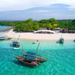 5-Day Exploring the Magic of Zanzibar Tour - Island Experience